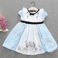 Little Girl Princess Costume Children Baby Girl Alice Dress Newborn Baby Alice in Wonderland Costume Kids Birthday Party Dress