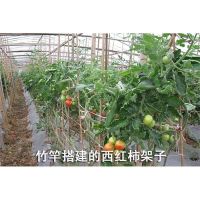 [COD] A large number of bamboo poles wholesale thick and thin vegetable climbing rattan pole frame planting garden fence