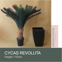 Cycas Revoluta- ต้นปรง สูง 110 CM ต้นไม้ปลอม เกรดพรีเมี่ยมเพื่อการตกแต่ง ต้นไม้ประดิษฐ์ Premium Artificial plant for home hotel resort decoration #madamkhajee #มาดามขจี