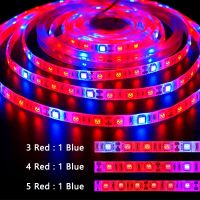 DC12V 5M SMD 5050 LED Strip Grow Lights Full Spectrum LED Flower Plant Phyto Growth Lamp For Greenhouse Hydroponic Plant Growing