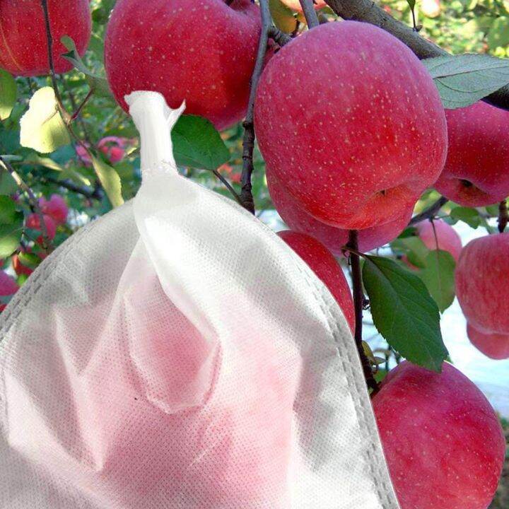 100pcs-fruit-protection-bag-plant-grow-bags-non-woven-fabric-for-grapes-vegetable-apples-pouch-mesh-bag-garden-accessories-tools