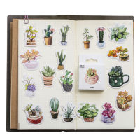 20packslot cute succulents series sticker DIY decoration label dress up for dairy album bookmark wholesale