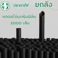 *ยกลัง* หลอดไข่มุกหุ้มฟิล์ม *ไม่สั่งรวมกับสินค้าอื่น* 2000 เส้น พร้อมส่ง หลอดใหญ่ ห่อซีล ห่อซองพลาสติก ห่อฟิลม์ใส