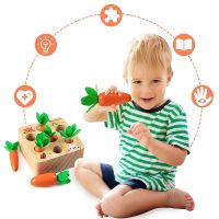 Baby Pull Carrot Set Montessori Toys For Children 1+ Years Wooden Shape Size Matching Game Learning Educational Games For Kids