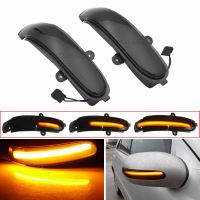 For Mercedes Benz E Class W211 S211 Rearview Mirror Indicator Repeater Lamp LED Dynamic Turn Signal Light 2002 2007 G Class W463