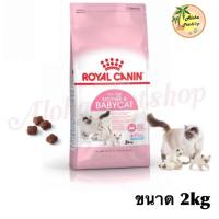 ลดล้างสต็อค ส่งฟรี Royal Canin Babycat สำหรับลูกแมว 1-4เดือน, แม่แมวให้นมลูก, แม่แมวตั้งท้อง ขนาด 2kg