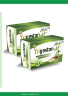 Viên uống tiêu Trĩ - Trigeston hỗ trợ thanh nhiệt , nhuận tràng thumbnail