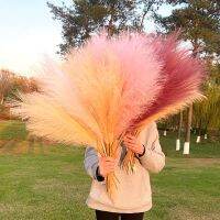 5Pcs Artificial Pampas Grass Bouquet Faux Dried Reed Flower For Home Living Decor DIY Wedding Birthday Party Supplies Fake Plant Artificial Flowers  P