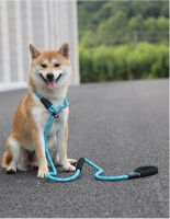 Reflective Dog Belt Pet Reflective Silk Traction Rope Nylon Suture at Night Dog Walking Outdoor Rope Lead Clip Accessoires