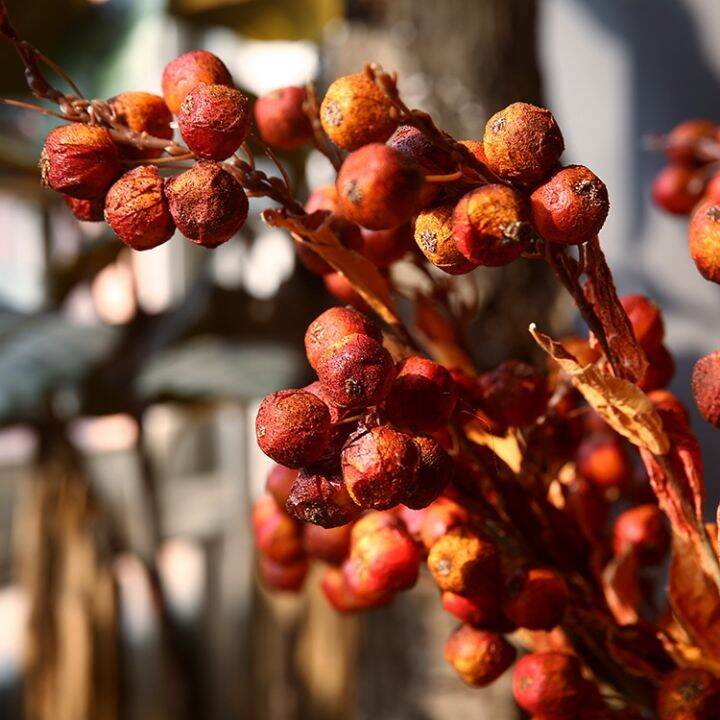 cod-dried-flower-hawthorn-fruit-simulation-berry-indoor-art-arrangement-decoration-fake-photo-props-handicraft