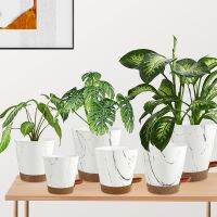 5Pcs Plastic Flower Pots New Nordic marble self-absorption Thickened Green Radish Fleshy Flowerpots Indoor Plants