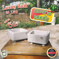 กระถางแคคตัส 5นิ้ว กระถางกระบองเพชร ไม้อวบน้ำ ทรงเหลี่ยม ลัคกี้ลอฟท์ มินิมอล&amp;ลอฟท์ "Lucky Loft L52"