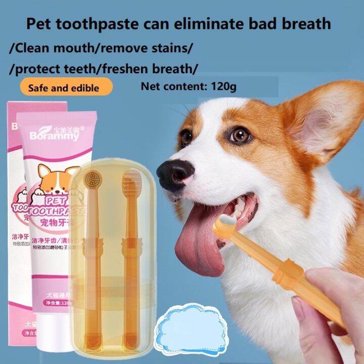 MSSUGAR Pet toothpaste toothbrush set edible Lazada PH