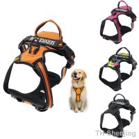 【YF】 New Reflective Dog Harness Leash Adjustable Mesh Pet Collar Chest Strap Harnesses With Traction Rope Accessories