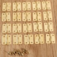 20Pcs 1 Inch Decorative Hinges Kitchen Cabinet Door Hinges For Caskets Drawer Jewelry Boxes Hinges Furniture Fittings 24x18mm