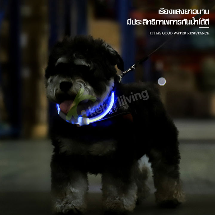 ปลอกคอสุนัข-collar-dog-แบบเรืองแสง-ปลอกคอสัตว์เลี้ยง-ปลอกคอหมา-ปลอกคอ-ปลอกคอสะท้อนแสง-ปลอกคอแมว-ปรับได้-ปลอกคอนิรภัย-สำหรับแมว-สุนัข