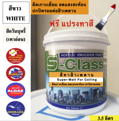 สีทาฝ้าเพดาน เอสคลาส ชนิดด้าน สีขาว/สีเทาอ่อน เอสคลาส (ขนาด แกลลอน 3.5 ลิตร) แถมแปรงทาสี