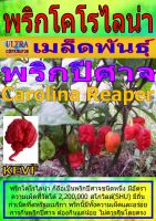 AGPV เมล็ดพันธุ์ พริกปีศาจ พริกโคโรไลน่ารีเปอร์ ราคาต่อ1ซอง