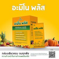 THAMDEE AMINO ธรรมดี อะมิโน (อะมิโน พลัส อะมิโน โพลิเมอร์) ลดต้นทุน เพิ่มผลผลิต พลิกชีวิตเกษตรกรไทย