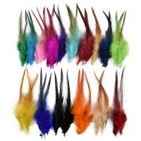 50Pcs/Lot Colorful Pheasant Feathers for Crafts Decoration Dream Catcher Chicken Rooster Feather for Fly Carnival Accessories