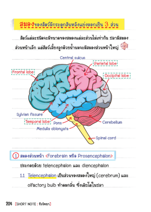 หนังสือ-se-ed-ซีเอ็ด-short-note-ชีววิทยา