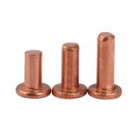 50Pcs M2 M2.5 M3 Standard GB109 Flat Head Copper Rivet Solid Rivet Flat Cap Copper Nail