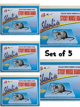 5pcs/set Powerful Sticky Mouse Glue Boards, Household Mouse Trap