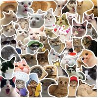 【LZ】❣⊙◊  Funny Cat Meme Sticker Pack para Adultos e Adolescentes DIY Diário Laptop Frasco Garrafa de Água Copa Computador Guitarra Skate Bagagem 50Pcs