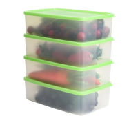 Tupperware กล่องเหมันต์พฤษา (4)