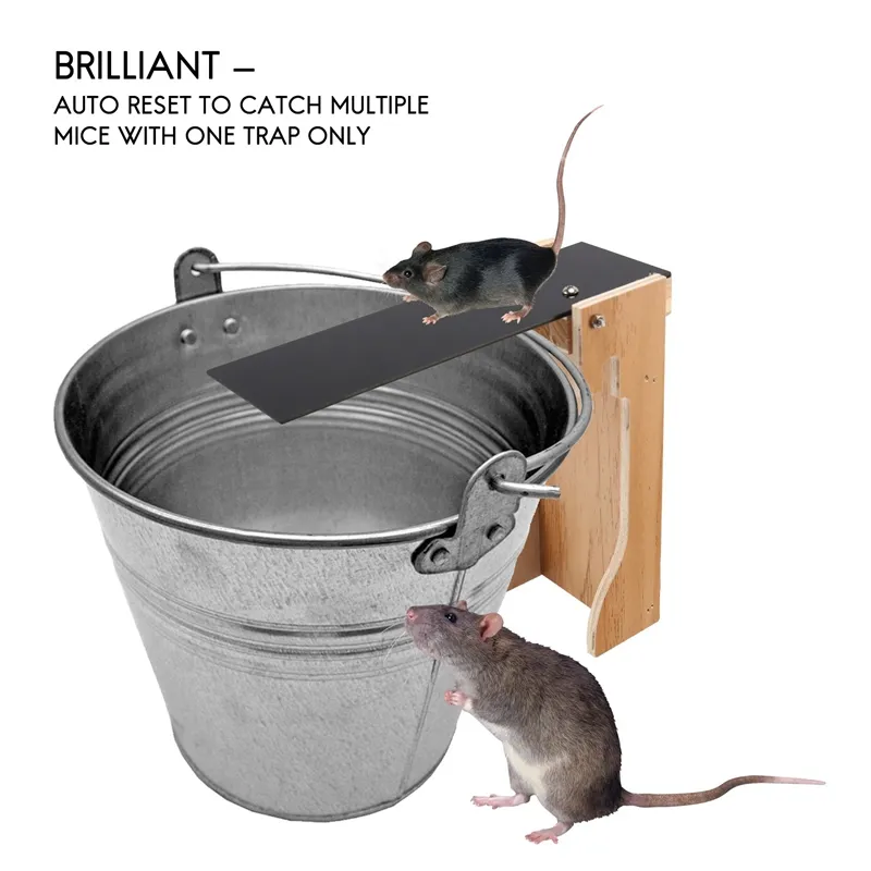 New Mouse Trap Catch Rat Trap Auto Catch Walk The Plank Humane Bucket Mice  Reset