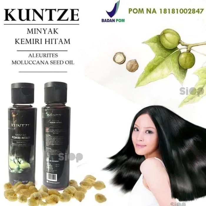 Kuntze Minyak Kemiri Hitam Bpom Original 100 Asli Mengatasi Rambut Rontok Lazada Indonesia