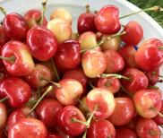 Cherry vàng Elegant size 9 pack 4kg - Hàng nhập khẩu Mỹ