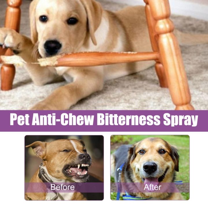 pet-calming-spray-สำหรับสุนัขแมวแก้ไขพฤติกรรมเชิงลบบรรเทาความเครียดในการเดินทางดอกไม้ไฟพายุฝนฟ้าคะนองสัตวแพทย์โซน