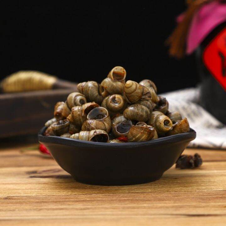 Stir fried canned snails, ready to eat seafood snacks, cooked snails