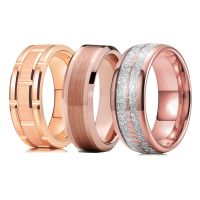 Fashion 8mm Silver Meteorite Inlay Arrow Stainless Steel Wedding Ring For Men Women Rose Gold Double Groove Brick Pattern Rings