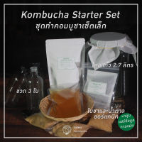 คอมบูชาชุดเริ่มต้นหมักชุดเล็ก2400ml พร้อมชา น้ำตาลและโหลแก้ว 2.7 ลิตร | Organic Kombucha Scoby brewing set 2400ml Plus Tea sugar and 2700ml Glass jar