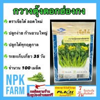 ผักซอง เจียไต๋ กวางตุ้งดอกฮ่องกง จำนวน 100 เมล็ด/ซอง เมล็ดพันธุ์ ลอตใหม่ งอกดี ก้านอวบใหญ่ ปลูกได้ทุกฤดูกาล ระยะเก็บเกี่ยว 35-45 วัน