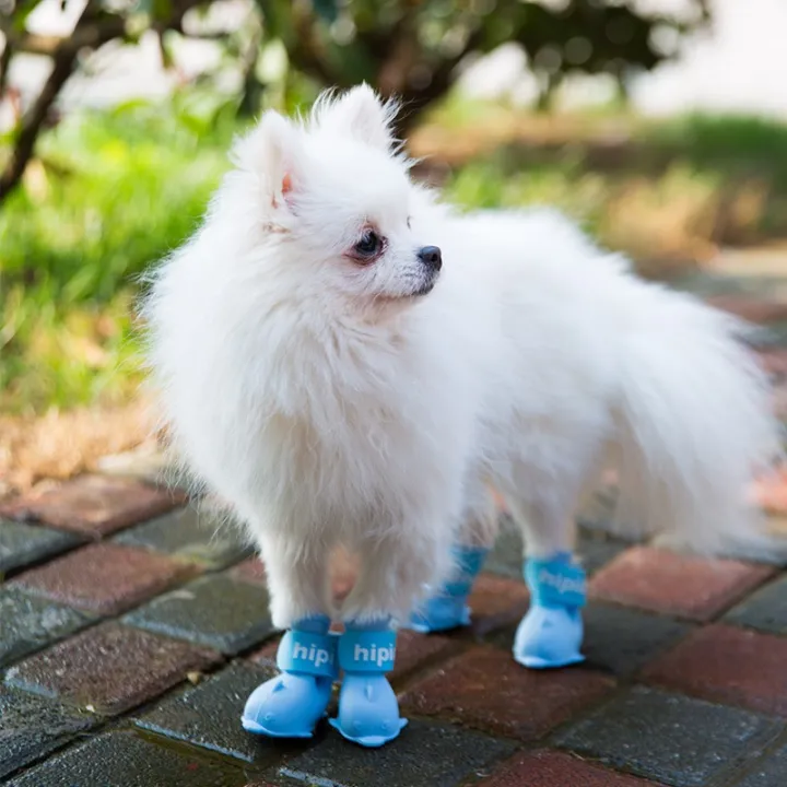 Cartoon Dog Shoes set Waterproof Rain Boots Foot Cover Pet Silicone Rain  shoes | Lazada PH