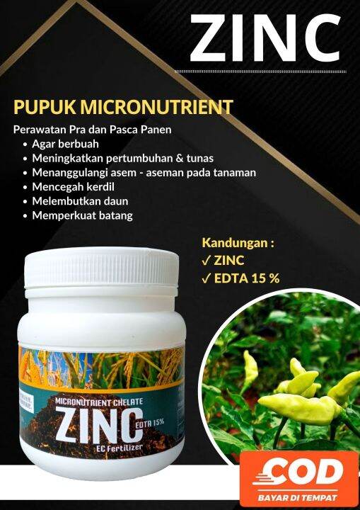 Pupuk Zinc Mengatasi Asam Asaman Tanaman Kerdil Mencegah Padi Roboh