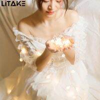 LITAKE 1.5-10M ไฟ LED S Ball สายไฟนางฟ้าแบตเตอรี่คริสต์มาสไฟสายประดับไฟสำหรับห้องกันน้ำโคมไฟแบบเชือก Usb ไฟ Led ลูก Home Room ตกแต่งคริสต์มาสของตกแต่งงานปาร์ตี้