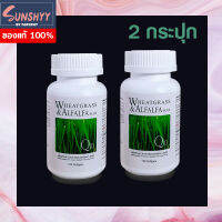 Wheatgrass &amp; Alfalfa Plus ผักเม็ด อาร์มสตรอง (รุ่นดั้งเดิม) วีทกราสและอัลฟัลฟา 120 เม็ด (2 กระปุก)