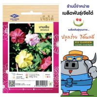 CHIATAI ?? ดอกไม้ เจียไต๋ H026#บานเย็น  ดอกไม้ซอง ผักซอง เมล็ดพันธุ์ เมล็ดพันธุ์ผัก เมล็ดพันธุ์ดอกไม้ ดอกไม้เจียไต๋ ตราเครื่องบิน