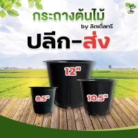 โปรแรง [1แพ็ค60ใบ] กระถางต้นไม้พลาสติก กระถางต้นไม้ กระถางปลูกต้นไม้  ขนาด 8นิ้ว 8.5นิ้ว 12 นิ้ว ปลีก/ส่ง เก็บเงินปลายทาง