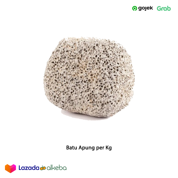 Batu apung per kg | Lazada Indonesia