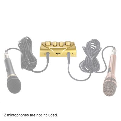 E&amp;Y Karaoke Sound Mixer Dual Mic Inputs With Cable