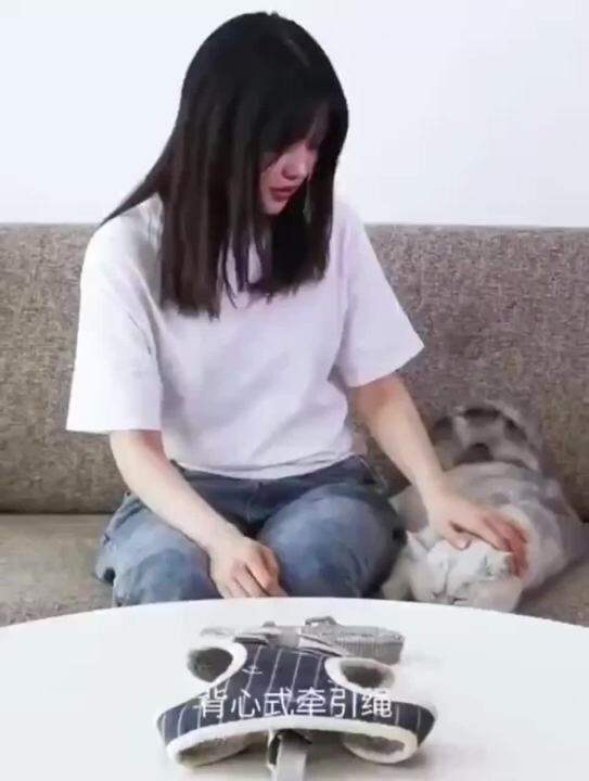 Cat Pulling Rope Anti Breaking Loose Cat Rope Cat Chain Rope Traction