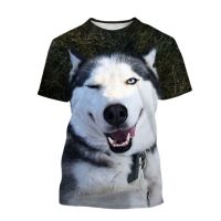 ฮัสกี้สุนัข Malamute 3D พิมพ์เสื้อยืดสตรีเด็ก TEE ท็อปส์เสื้อผ้าตลกผู้ชายผู้หญิงแฟชั่นสบายๆ O-คอขนาดใหญ่เสื้อ T