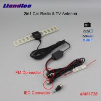 ✹◈ 1PC 2IN1 Car TV Antenna Radio FM IEC Connecto With Amplifier Booster AM RDS DVB-T ISDB-T ATSC ANT AM1728