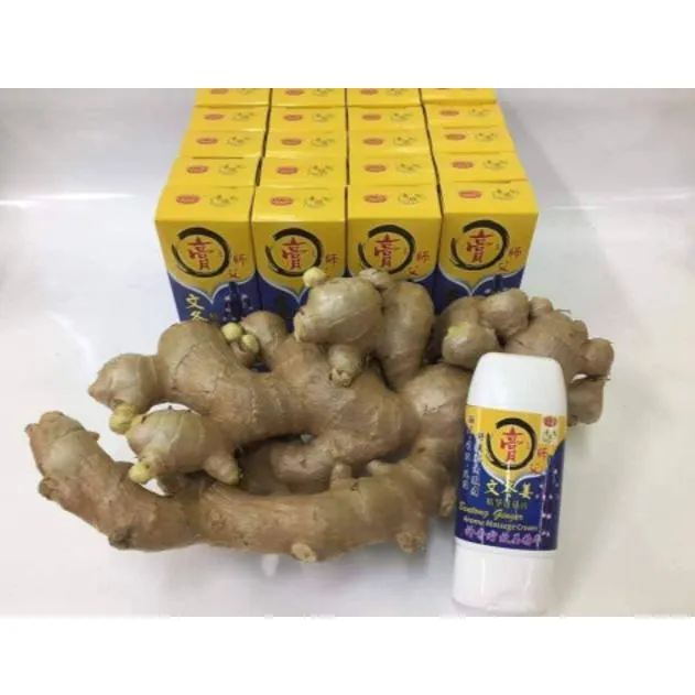 奇迹文冬姜膏师傅舒筋膏100g Bentong Master Ginger Cream a Quality Lazada