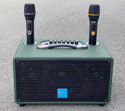 Loa Karaoke Xách Tay AZPro Az-336, BASS 16CM, Công Suất 200W